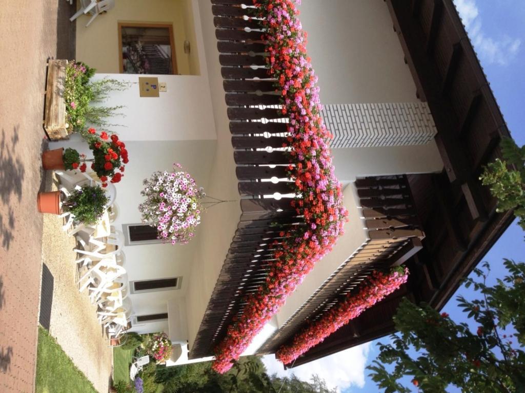 Pension Harrasser Falzes Exterior foto